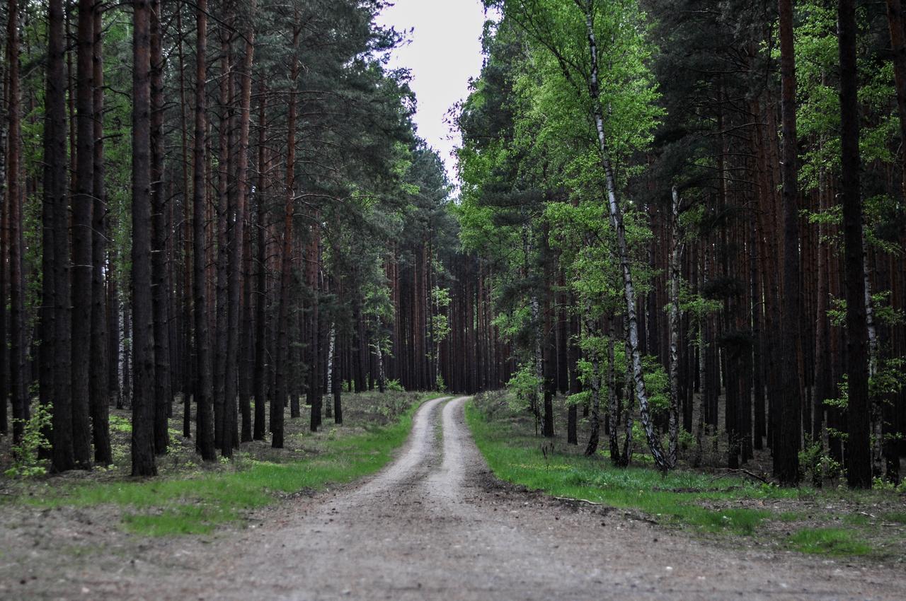 Zajazd Dabie Dabie  Exterior foto